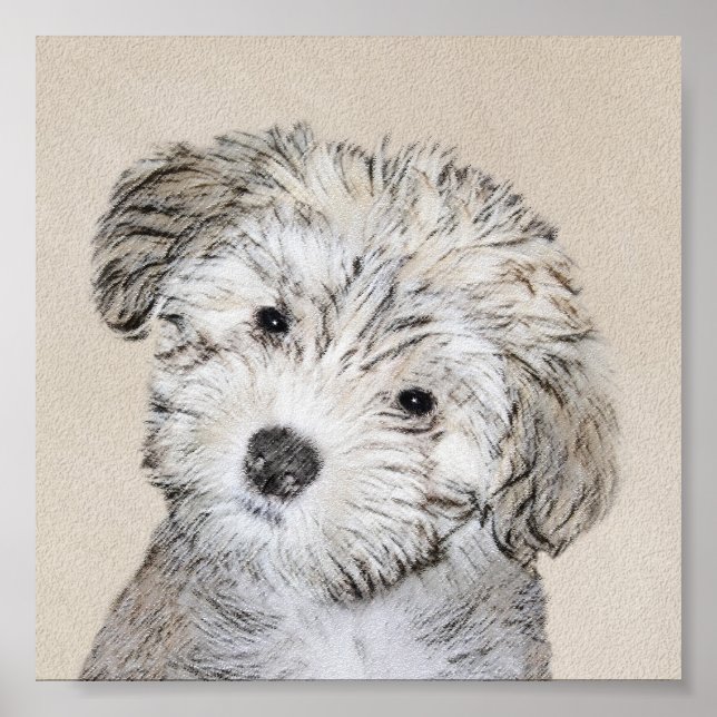 Poster Peinture de Chien Havanais - Cute Original Chien A (Devant)