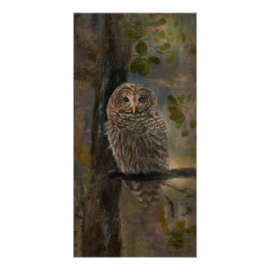 Poster Peinture de chouette barrée 35,5 x 71 cm