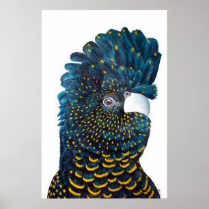 Poster Peinture de Cockatoo Noir