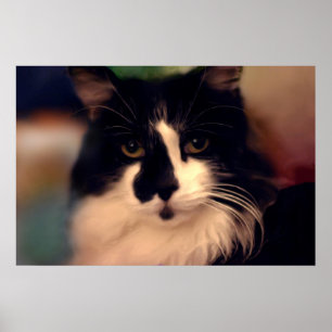 Poster Peinture de couleur