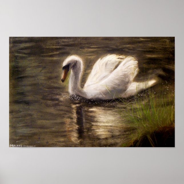 Poster Peinture de cygne blanc (Devant)