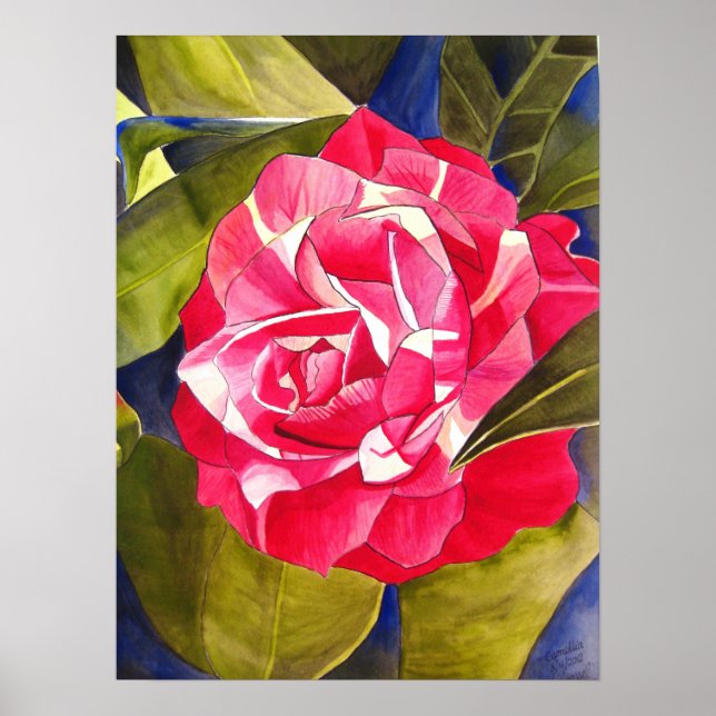 Poster Peinture de fleurs rose Camellia (Devant)