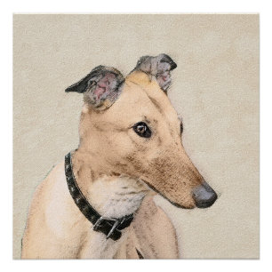 Poster Peinture de Greyhound - Joli Art Original de Chien