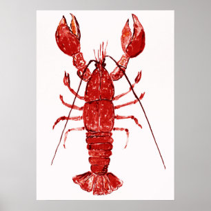 Poster Peinture de homard rouge