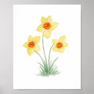 Poster Peinture de jardin de fleurs de printemps jonquill