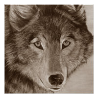 peinture de la faune du loup gris