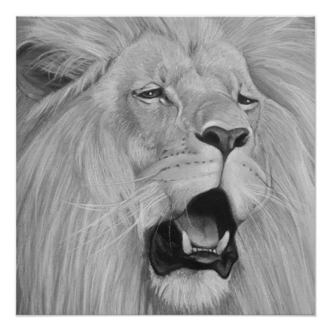 Poster peinture de la faune noire et blanche du lion rugi (Devant)