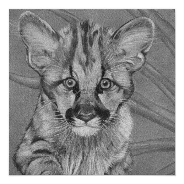 Poster peinture de la jolie cougar kitten gros chat faune (Devant)