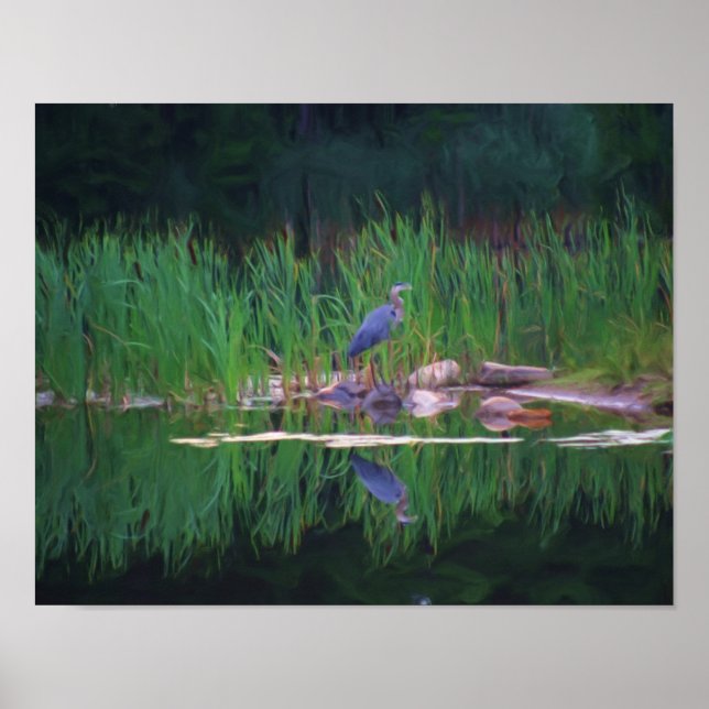 Poster Peinture de la nature de Héron bleu (Devant)