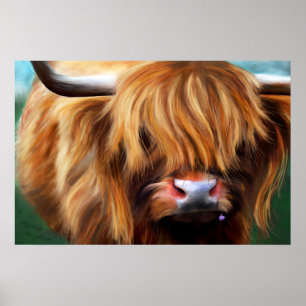 Poster Peinture de la vache des Highlands