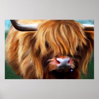 Poster Peinture de la vache des Highlands