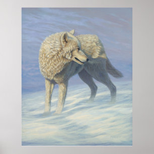 Poster Peinture de loup blanc -