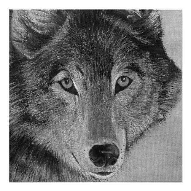 Poster peinture de loup gris en noir et blanc (Devant)