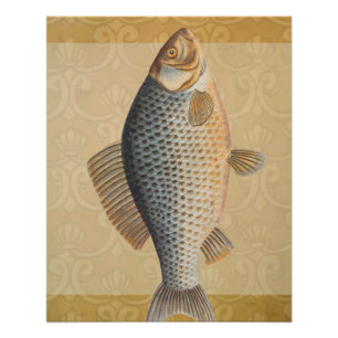 Poster peinture de pêche de carpe dessin d'eau douce 