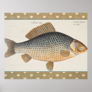 Poster peinture de pêche de carpe dessin d'eau douce
