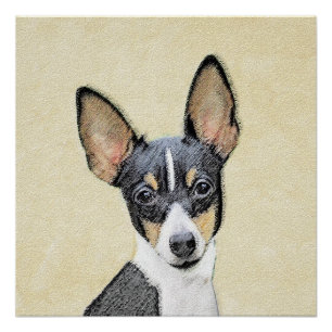 Poster Peinture de Toy Fox Terrier - Art de chien origina