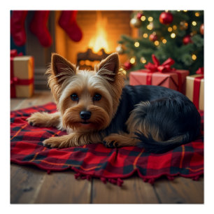 Poster Peinture de Yorkshire Terrier Soir de Noël Cosy