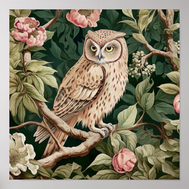 Poster Peinture décorative de hibou (Devant)