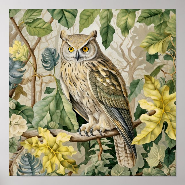 Poster Peinture décorative de hibou (Devant)