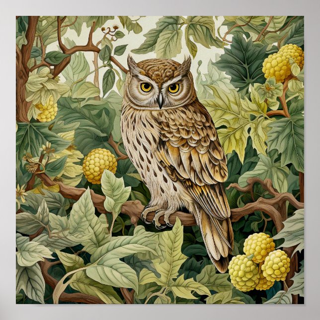 Poster Peinture décorative de hibou (Devant)