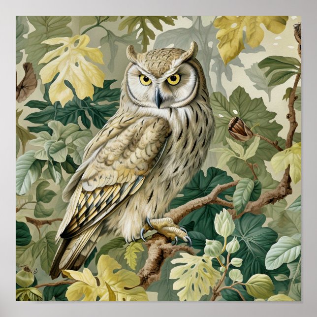 Poster Peinture décorative de hibou (Devant)