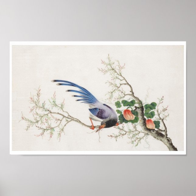 Poster Peinture d'oiseaux chinois (Devant)