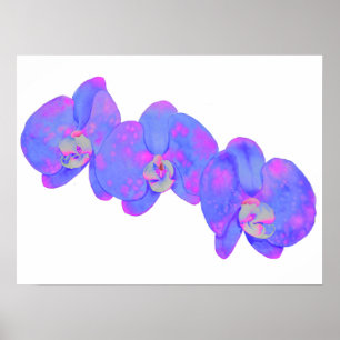 Poster Peinture d'orchidée violette violette