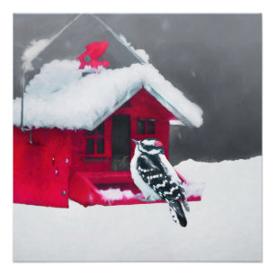 Poster Peinture Downy Woodpecker - Art original pour oise