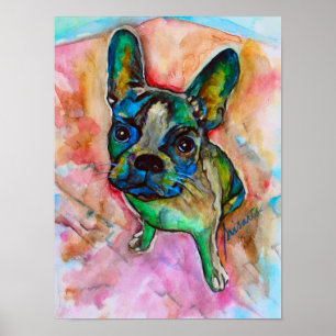 Poster Peinture en aquarelle pour chien de taureau frança