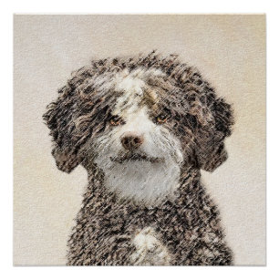 Poster Peinture espagnole de chien d'eau - jolie art orig