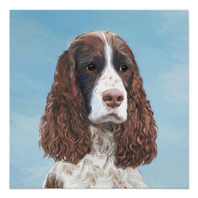 Poster Peinture espagnole Springer anglaise Peinture orig (Devant)