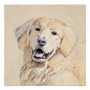 Poster Peinture Golden Retriever - Joli art original chie