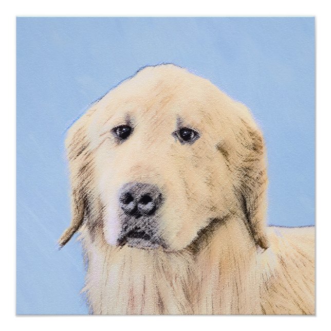 Poster Peinture Golden Retriever - Joli art original chie (Devant)