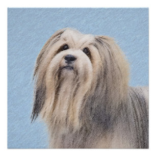 Poster Peinture Havanaise (Argent) - Cute Original Chien 