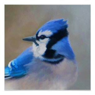 Poster Peinture Jay Bleu - Art Oiseau Original