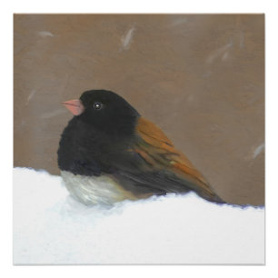 Poster Peinture Junco foncée - Art original pour oiseaux