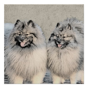 Poster Peinture Keeshond Brothers - Art Chien original