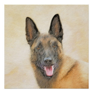 Poster Peinture Malinoise belge - Cute Original Chien Art
