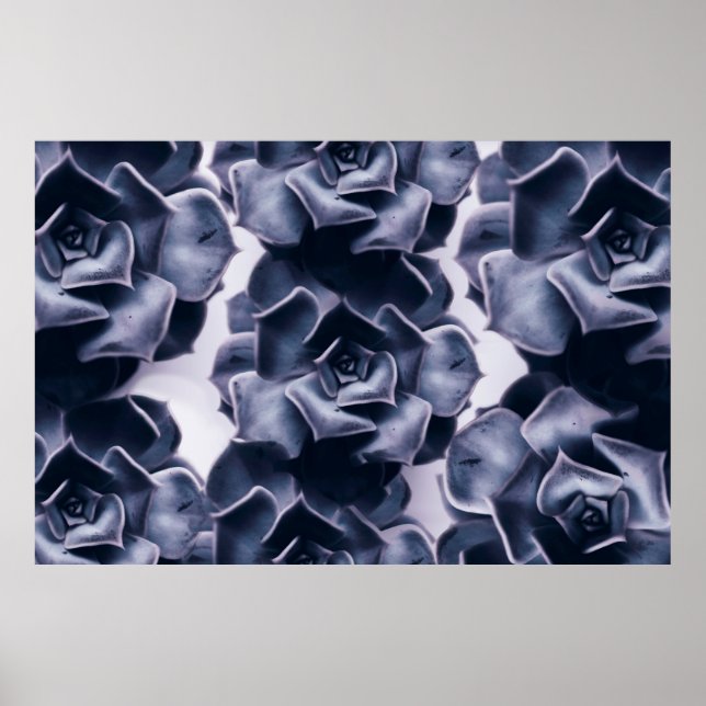 POSTER PEINTURE NOIRE ET BLANCHE À FLEURS ABSTRAITES (Devant)