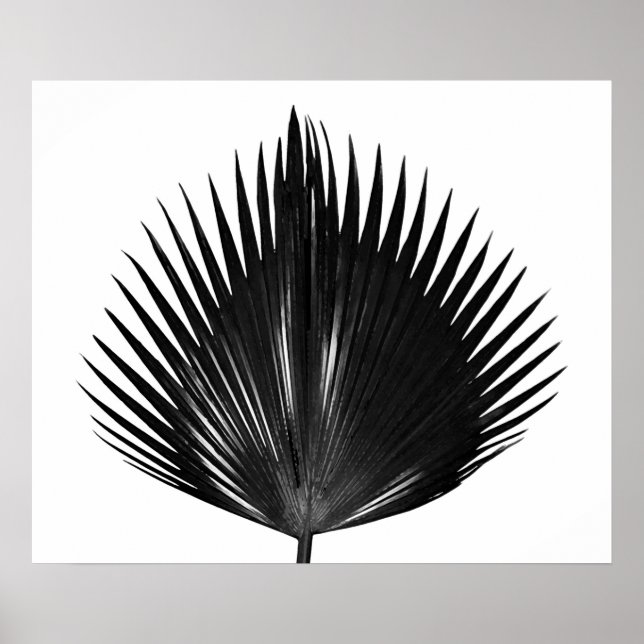 Poster Peinture noire Plante de feuille de palme (Devant)