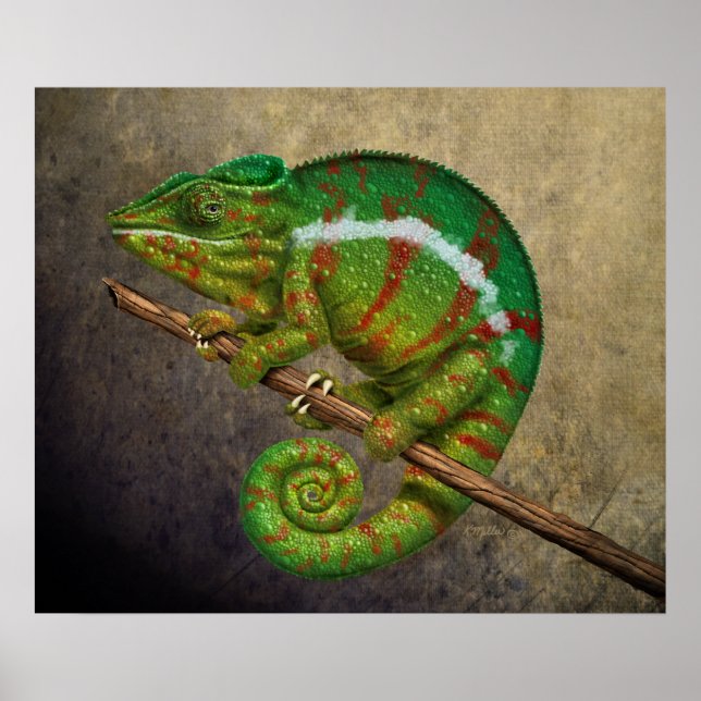 Poster Peinture numérique Panther Chameleon (Devant)