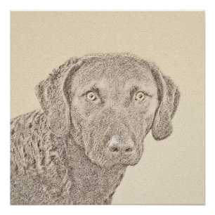 Poster Peinture originale de chien par Retriever de Chesa