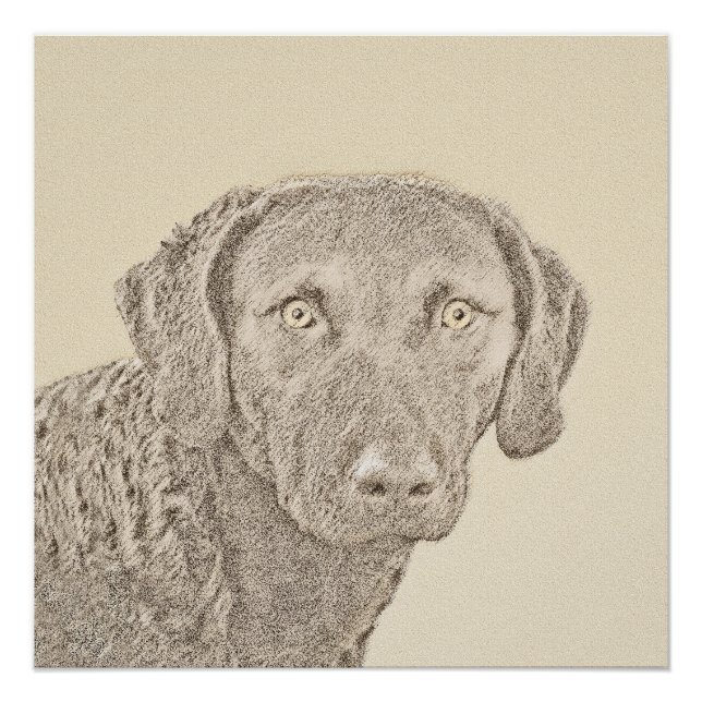 Poster Peinture originale de chien par Retriever de Chesa (Devant)
