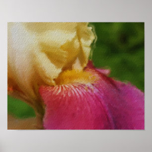 Poster Peinture Pétale Iris Jaune Art Fleur