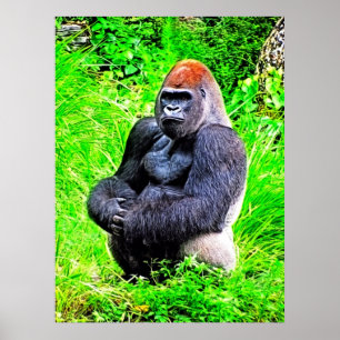 Poster Peinture photo de Gorilla Silverback