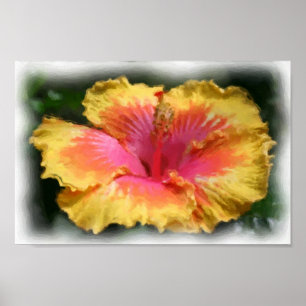Poster Peinture photo de l'Hibiscus rouge jaune