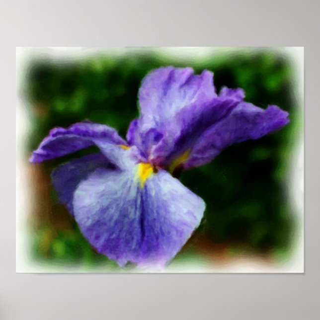 Poster Peinture photo violet japonais Iris Flower Art (Devant)