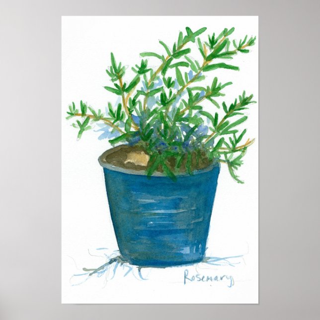 Poster Peinture Plante d'aquarelle Rosemary (Devant)