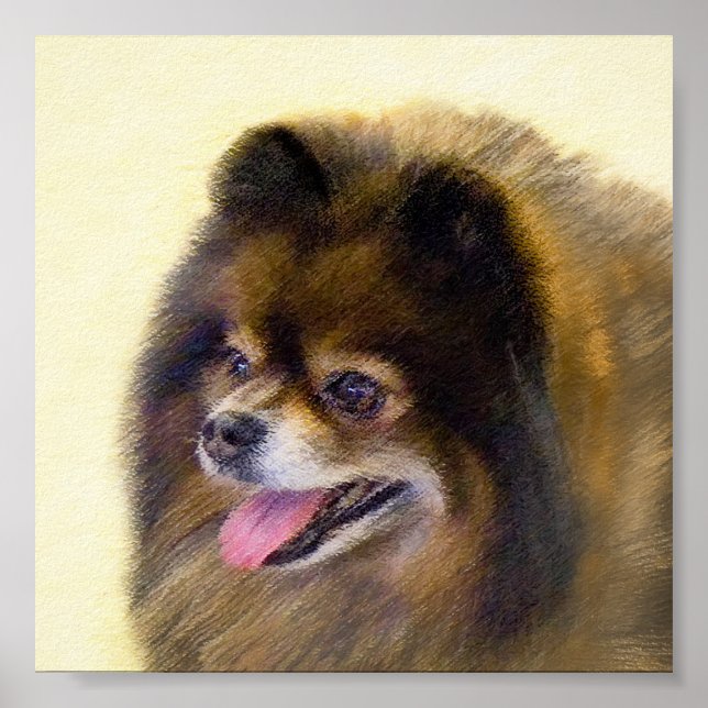 Poster Peinture Poméranienne Noir et Tan Art Chien origin (Devant)