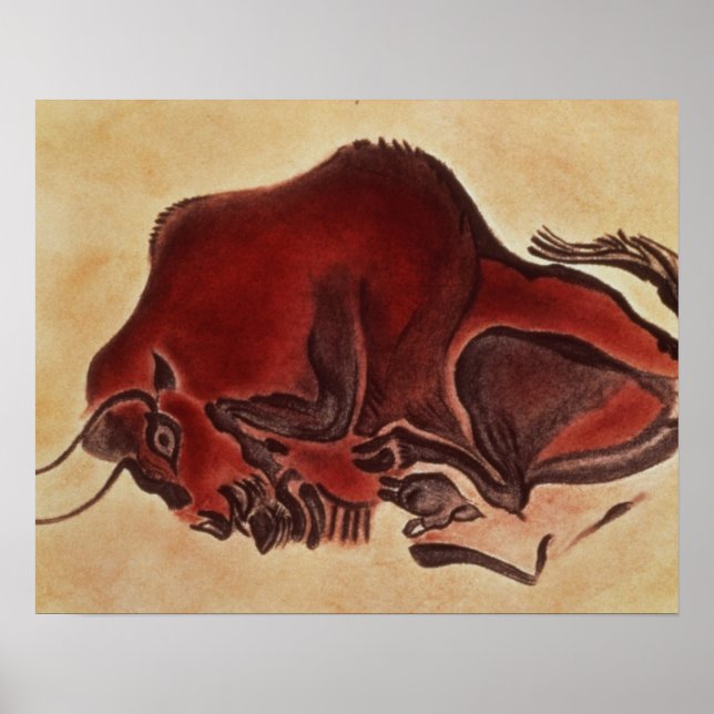 Poster Peinture rocheuse d'un bison, fin de la Magdalénie (Devant)